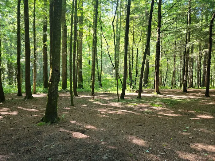 Bear Creek Campground Picture 2