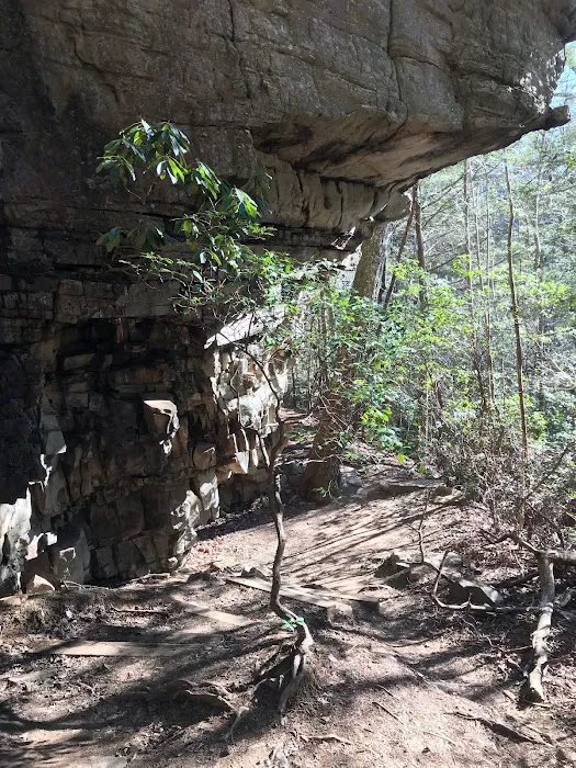 Greeter Falls Campground Picture 4