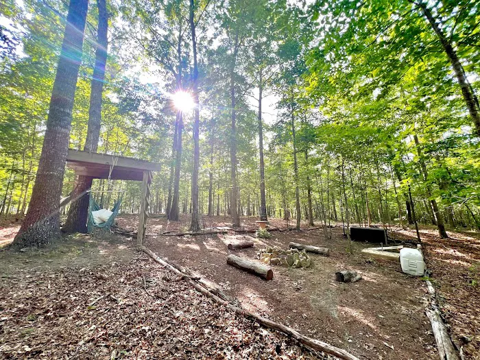 Mozo’s Acres Picture 7