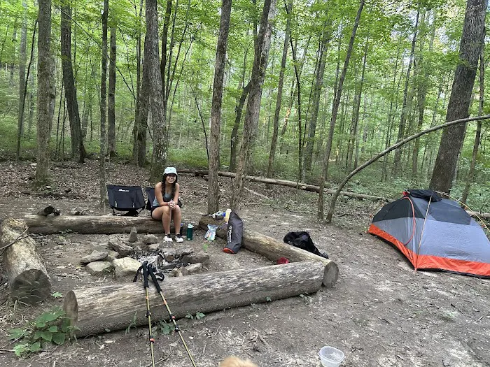 Little Cove Campground Picture 4