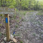 Little Cove Campground
