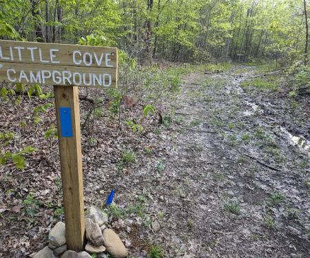 Little Cove Campground