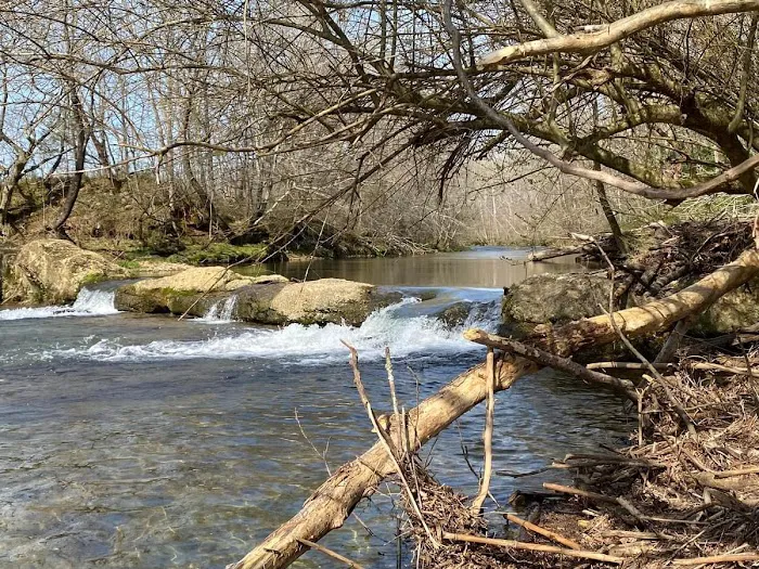 Charles Creek Campground Picture 4