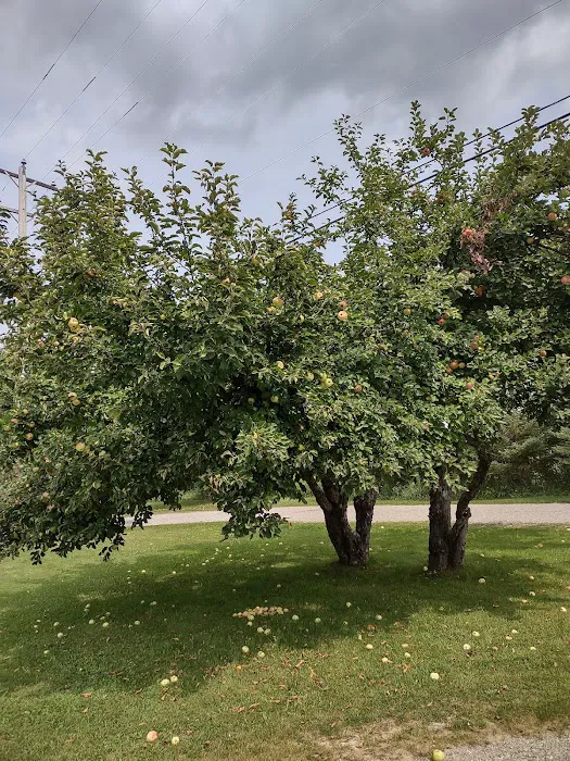 Waterways Campground Picture 1