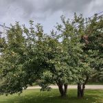 Waterways Campground