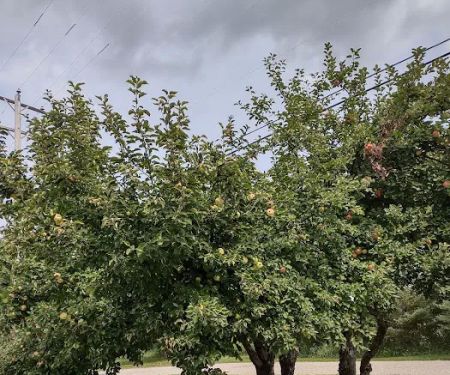 Waterways Campground