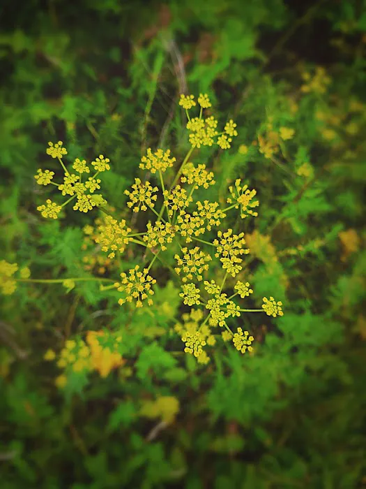 Waterways Campground Picture 2