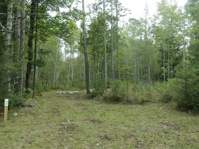 Camp Darling Picture 1