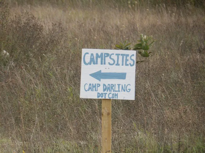 Camp Darling Picture 6