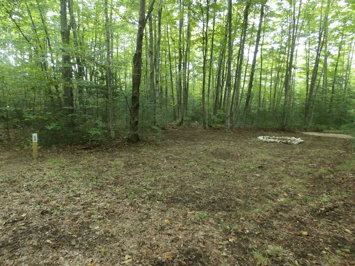 Camp Darling Picture 5