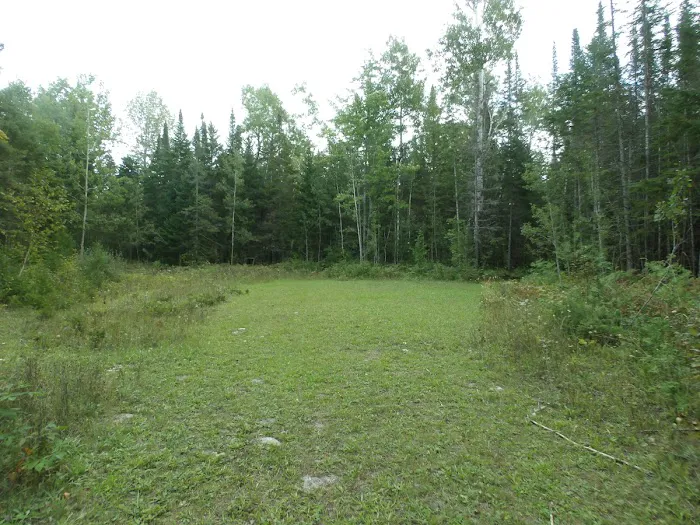 Camp Darling Picture 4