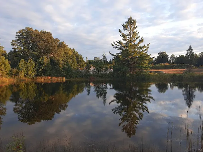 Camp Darling Picture 7