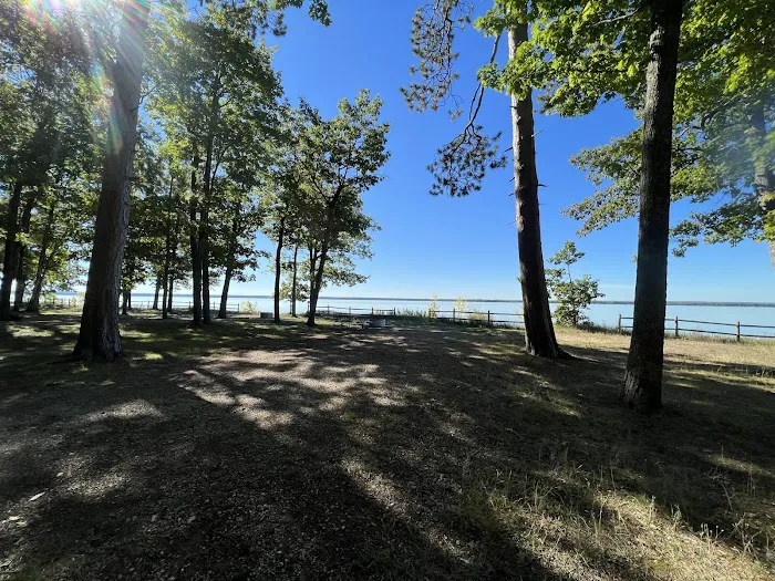 Black Lake State Forest Campground Picture 1