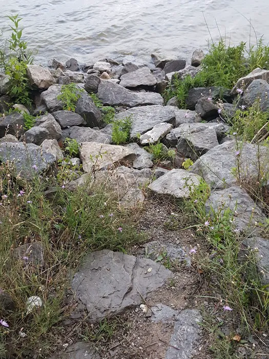 Black Lake State Forest Campground Picture 7