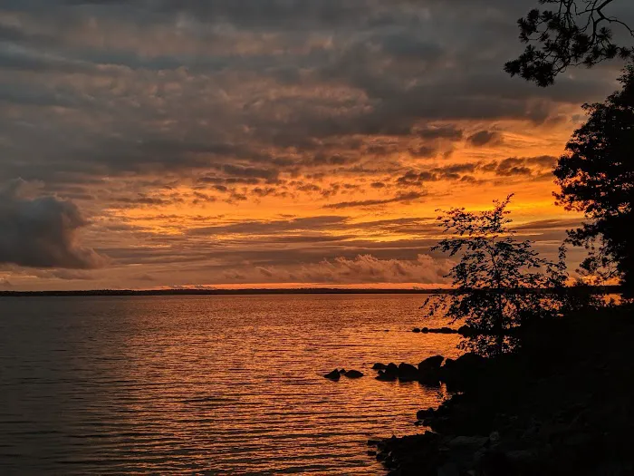 Black Lake State Forest Campground Picture 8