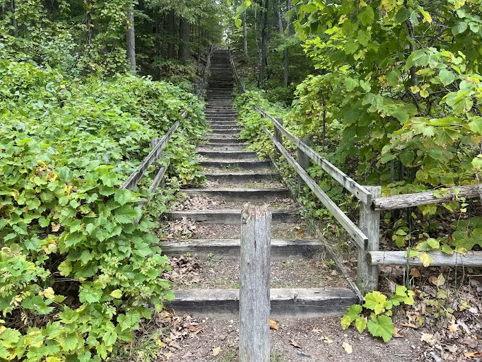 Black Lake State Forest Campground Picture 2