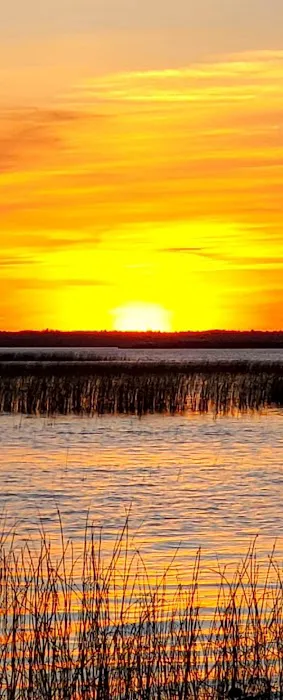 Cheboygan State Park Campground Picture 7