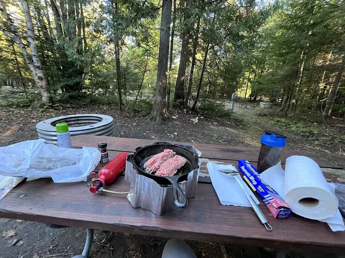Cheboygan State Park Campground Picture 9