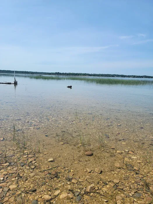 Cheboygan State Park Campground Picture 6
