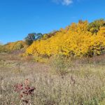 W. R. Wadewitz Nature Camp