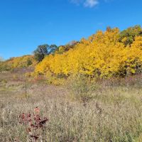 W. R. Wadewitz Nature Camp ico