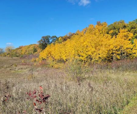 W. R. Wadewitz Nature Camp