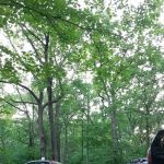 Hononegah Forest Preserve Campground