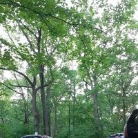 Hononegah Forest Preserve Campground ico