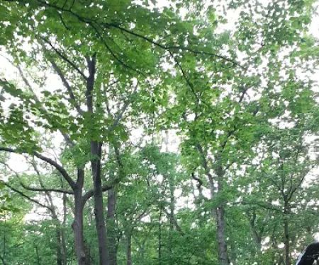 Hononegah Forest Preserve Campground