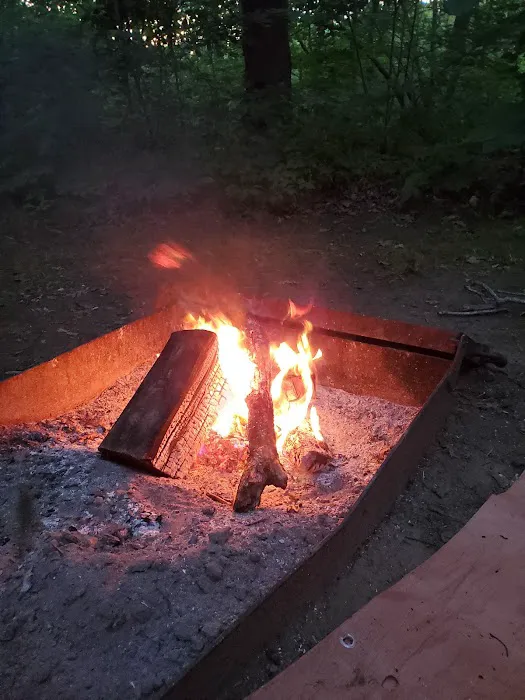 Hononegah Forest Preserve Campground Picture 9