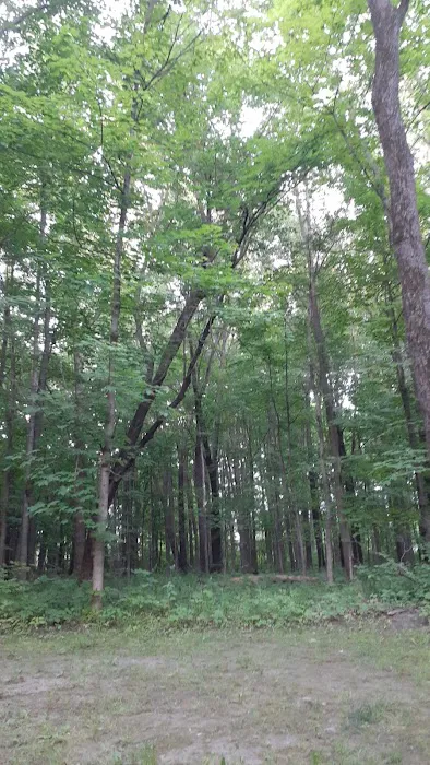 Hononegah Forest Preserve Campground Picture 2