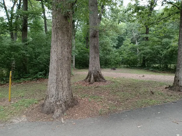 White Oak Campground Picture 4