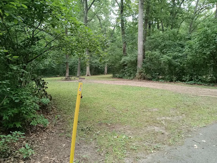 White Oak Campground Picture 5