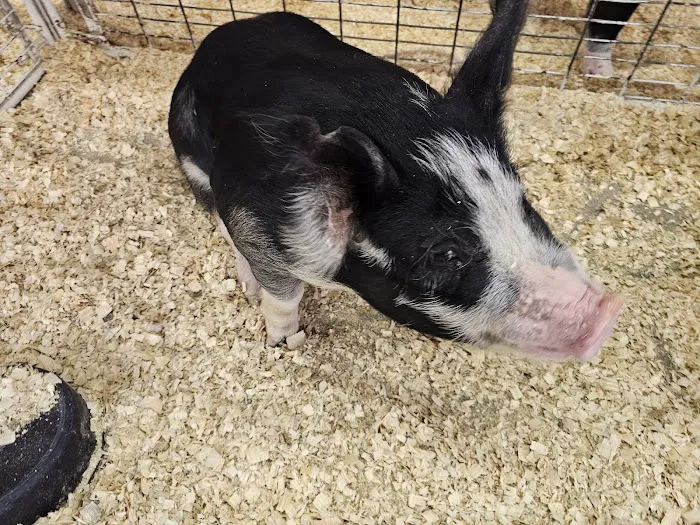 Elkhorn Campgrounds Picture 7