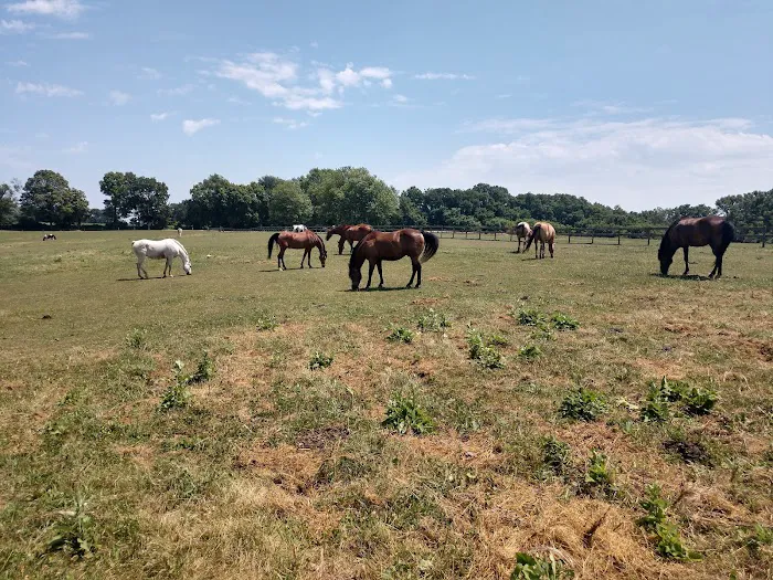 Hansen's Hideaway Picture 4