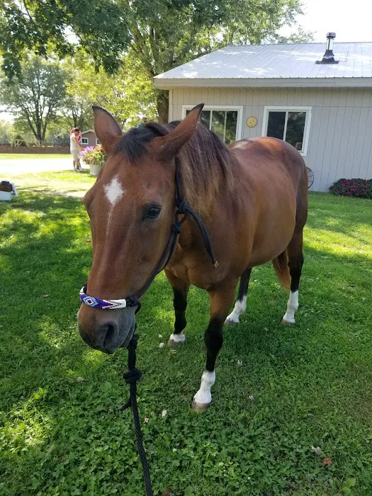 Hansen's Hideaway Picture 8