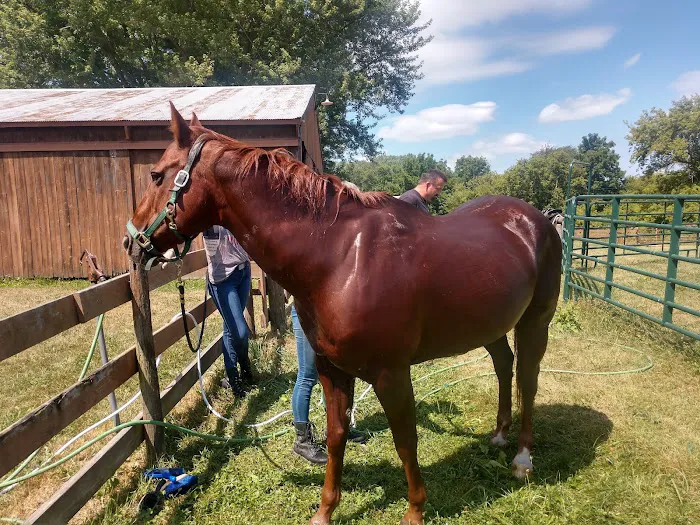 Hansen's Hideaway Picture 5