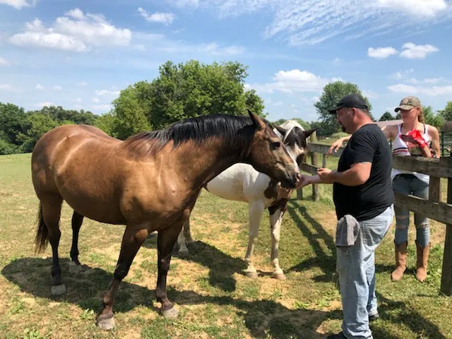 Hansen's Hideaway Picture 1