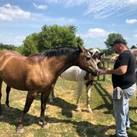 Hansen's Hideaway ico