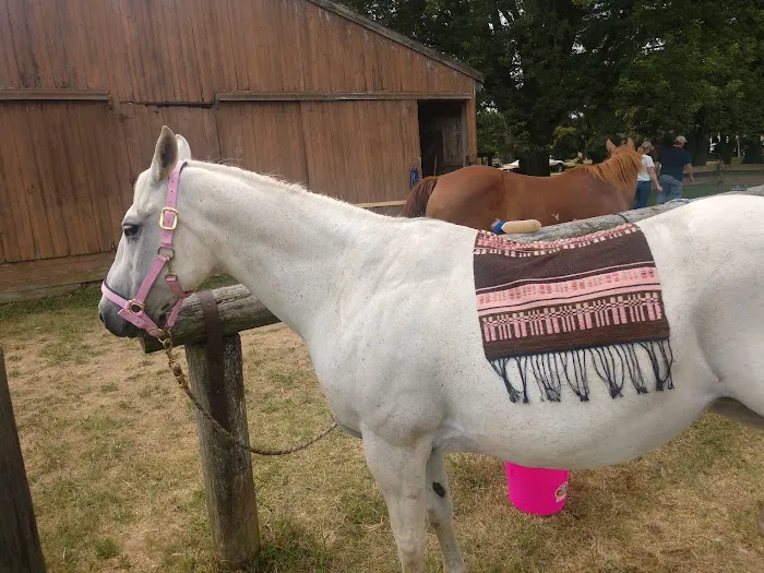 Hansen's Hideaway Picture 6