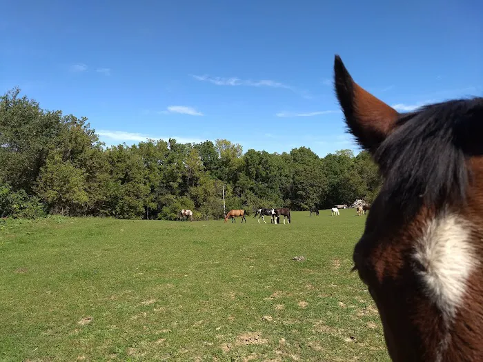 Hansen's Hideaway Picture 7