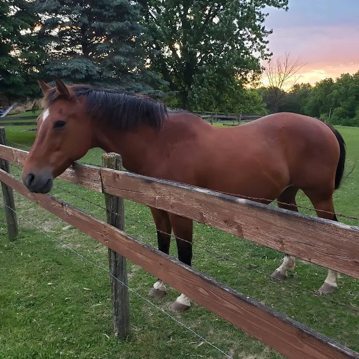 Hansen's Hideaway Picture 10