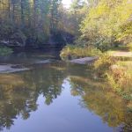 Fox Canyon Youth Campground