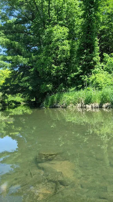 Sunny Crest Family Campground Picture 3