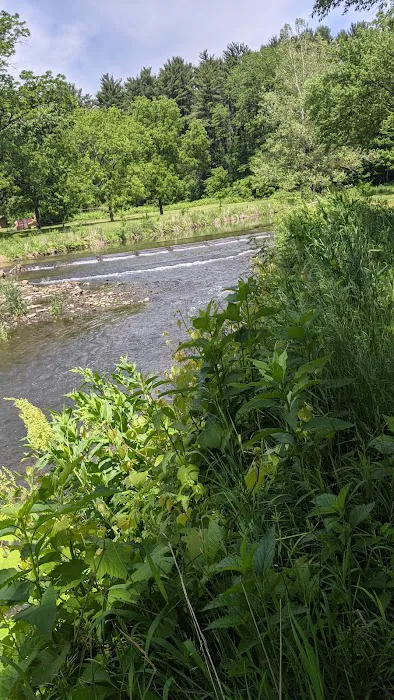 Sunny Crest Family Campground Picture 1