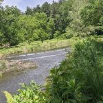 Sunny Crest Family Campground