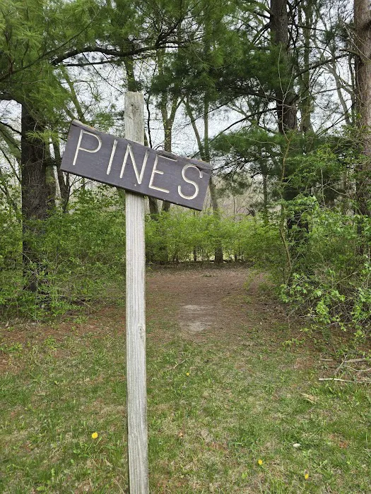 Camp Wokanda Picture 9