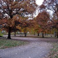 Marshall State Fish and Wildlife Area. ico