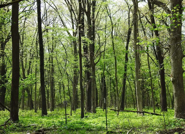 Marshall State Fish and Wildlife Area. Picture 4