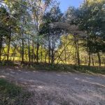 Clarksville Glamping